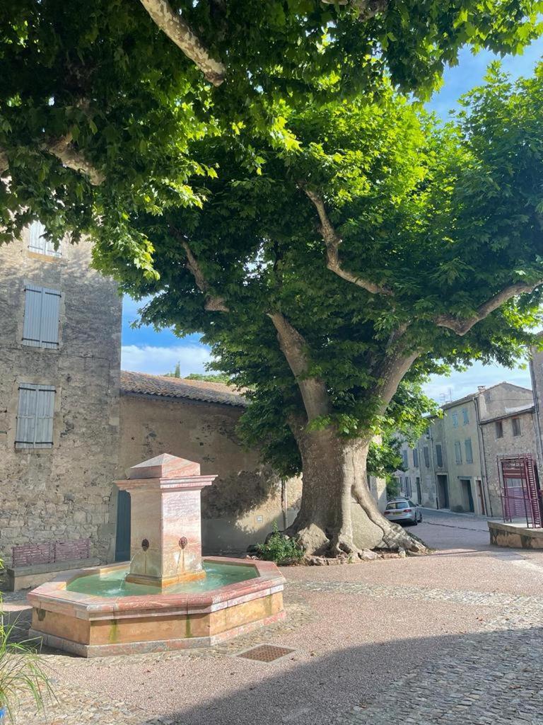 Апартаменты Au Perchoir Caunes-Minervois Экстерьер фото